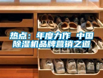 行業(yè)新聞熱點(diǎn)：年度力作 中國(guó)除濕機(jī)品牌營(yíng)銷(xiāo)之道