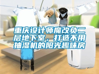 企業(yè)新聞重慶設(shè)計(jì)師魔改負(fù)二層地下室，打造不用抽濕機(jī)的陽(yáng)光趣味房