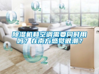 行業新聞除濕機和空調需要同時用嗎？在南方感覺很潮？
