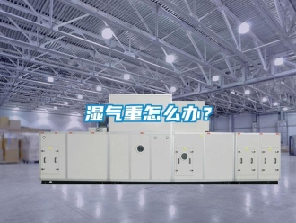 常見問題濕氣重怎么辦？