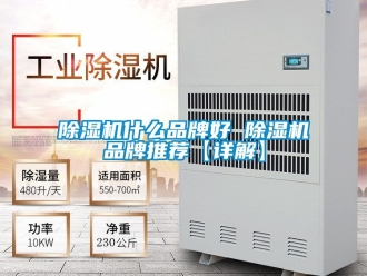 企業新聞除濕機什么品牌好 除濕機品牌推薦【詳解】