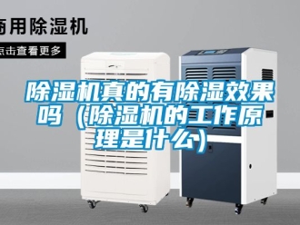 行業新聞除濕機真的有除濕效果嗎（除濕機的工作原理是什么）