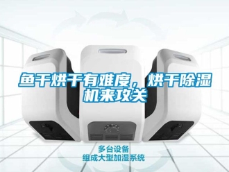 行業(yè)新聞魚(yú)干烘干有難度，烘干除濕機(jī)來(lái)攻關(guān)