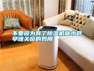 企業(yè)新聞不要因?yàn)橛辛顺凉駲C(jī)就小覷早晚關(guān)窗的妙用