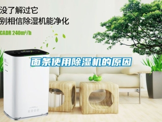 行業新聞面條使用除濕機的原因