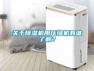 企業(yè)新聞關(guān)于除濕機(jī)用壓縮機(jī)有誰了解？