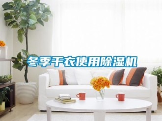 企業(yè)新聞冬季干衣使用除濕機(jī)