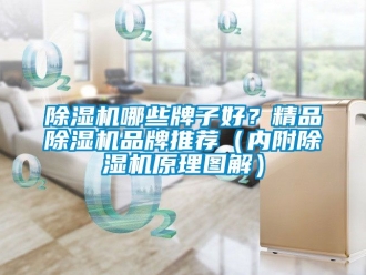 企業(yè)新聞除濕機哪些牌子好？精品除濕機品牌推薦（內(nèi)附除濕機原理圖解）