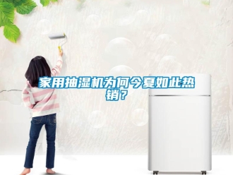 行業新聞家用抽濕機為何今夏如此熱銷？
