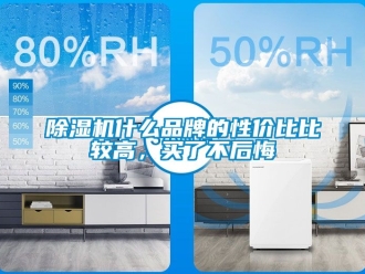 企業新聞除濕機什么品牌的性價比比較高，買了不后悔