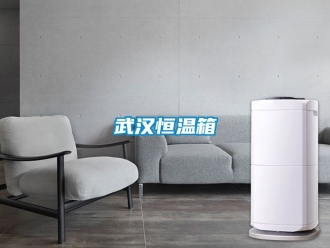 知識百科武漢恒溫箱