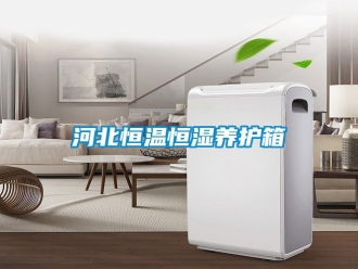 知識百科河北恒溫恒濕養護箱