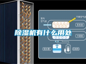 行業(yè)新聞除濕機(jī)有什么用處
