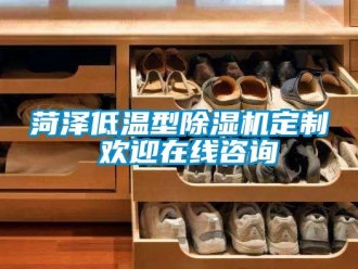 行業(yè)新聞菏澤低溫型除濕機(jī)定制 歡迎在線咨詢