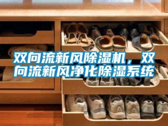知識百科雙向流新風除濕機，雙向流新風凈化除濕系統