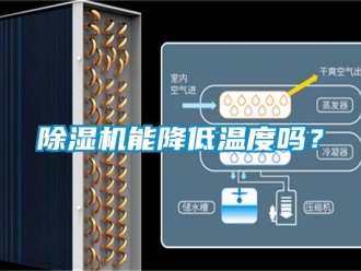 行業(yè)新聞除濕機(jī)能降低溫度嗎？