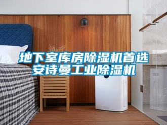 企業(yè)新聞地下室?guī)旆砍凉駲C(jī)首選安詩曼工業(yè)除濕機(jī)