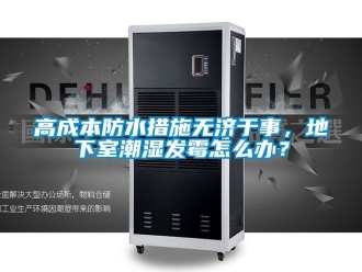 企業(yè)新聞高成本防水措施無濟于事，地下室潮濕發(fā)霉怎么辦？