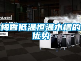 知識百科梅香低溫恒溫水槽的優勢