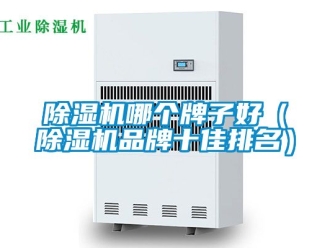 企業新聞除濕機哪個牌子好（除濕機品牌十佳排名）