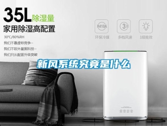 知識百科新風系統究竟是什么