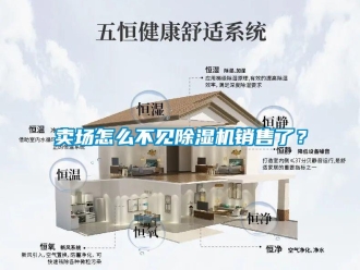 常見問題賣場怎么不見除濕機銷售了？