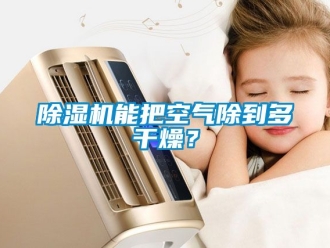行業(yè)新聞除濕機(jī)能把空氣除到多干燥？