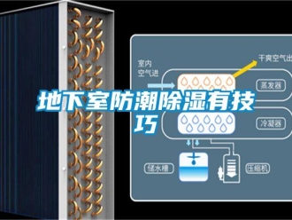 企業(yè)新聞地下室防潮除濕有技巧