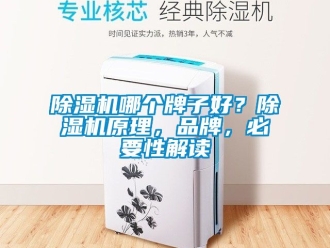 企業新聞除濕機哪個牌子好？除濕機原理，品牌，必要性解讀