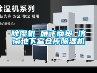企業(yè)新聞除濕機(jī) 雁飛商貿(mào) 濟(jì)南地下室倉庫除濕機(jī)