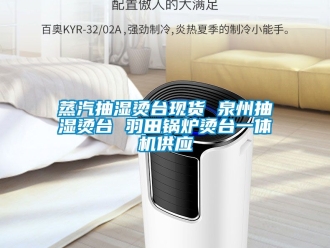 企業(yè)新聞?wù)羝闈駹C臺(tái)現(xiàn)貨 泉州抽濕燙臺(tái) 羽田鍋爐燙臺(tái)一體機(jī)供應(yīng)