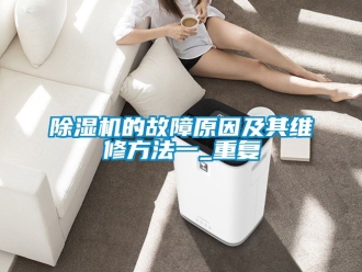 企業新聞除濕機的故障原因及其維修方法一_重復