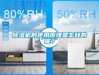 企業新聞除濕機的使用原理是怎樣的呢？