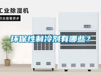 行業新聞環保性制冷劑有哪些？