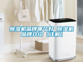 企業新聞除濕機品牌哪個好 除濕機品牌介紹【詳解】