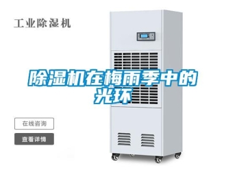 企業(yè)新聞除濕機(jī)在梅雨季中的光環(huán)