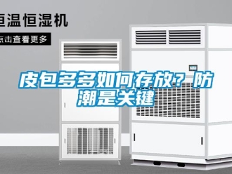 常見問題皮包多多如何存放？防潮是關鍵