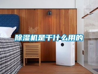 行業新聞除濕機是干什么用的