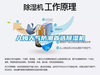 行業新聞入梅天氣防潮首選除濕機