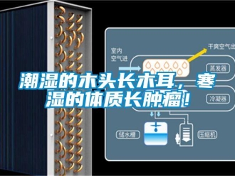 企業新聞潮濕的木頭長木耳，寒濕的體質長腫瘤！