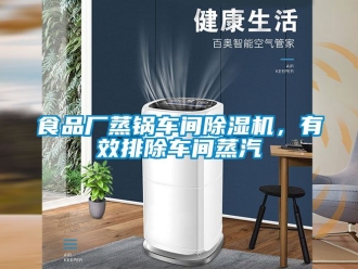 企業(yè)新聞食品廠蒸鍋車間除濕機(jī)，有效排除車間蒸汽
