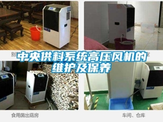 知識(shí)百科中央供料系統(tǒng)高壓風(fēng)機(jī)的維護(hù)及保養(yǎng)