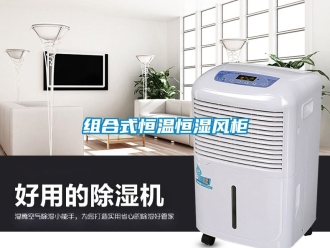 知識百科組合式恒溫恒濕風柜
